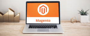 magento pour boutiques en ligne