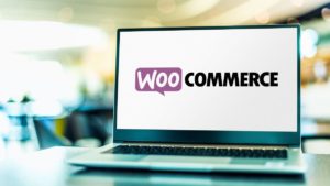 woocommerce boutique en ligne